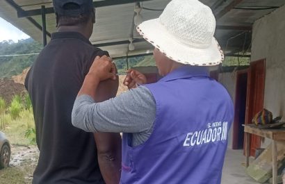 Detectan mosquito transmisor de fiebre amarilla en el Chocó Andino de Quito