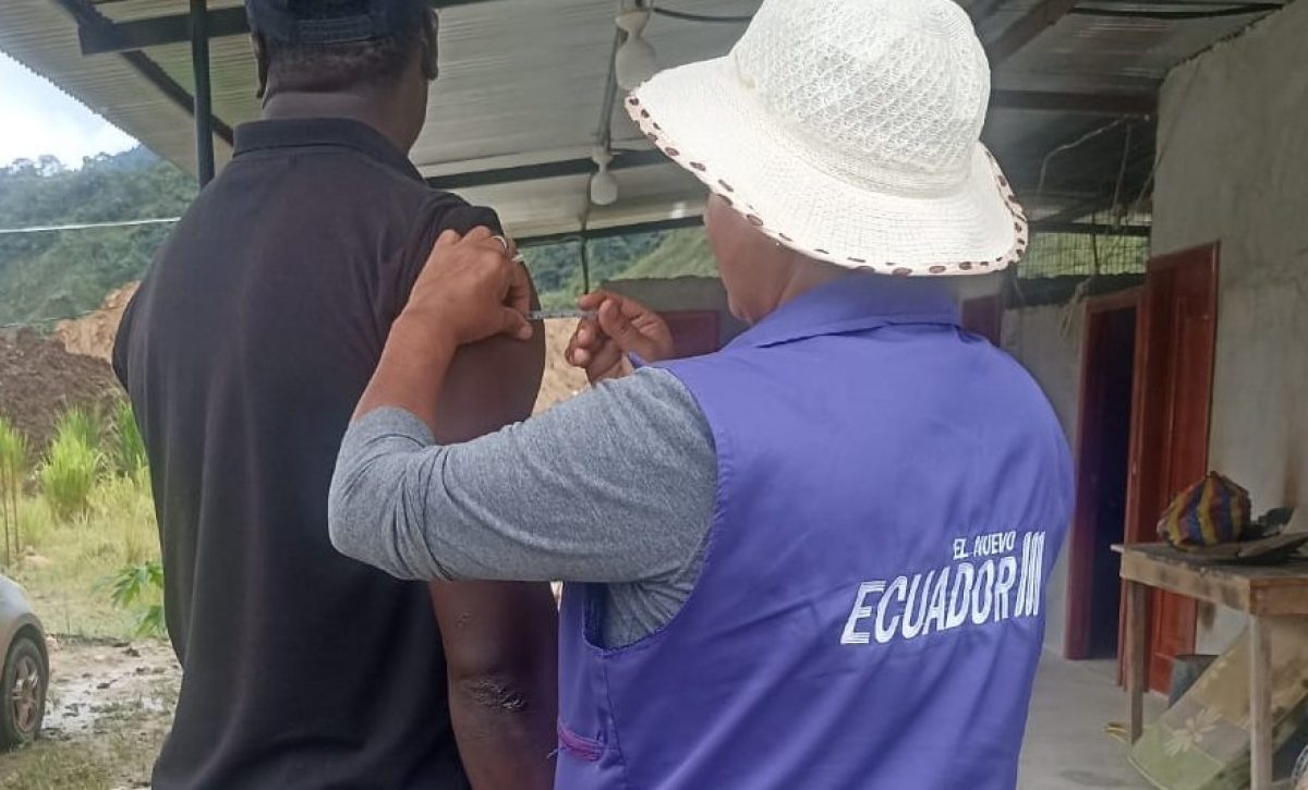 Detectan mosquito transmisor de fiebre amarilla en el Chocó Andino de Quito