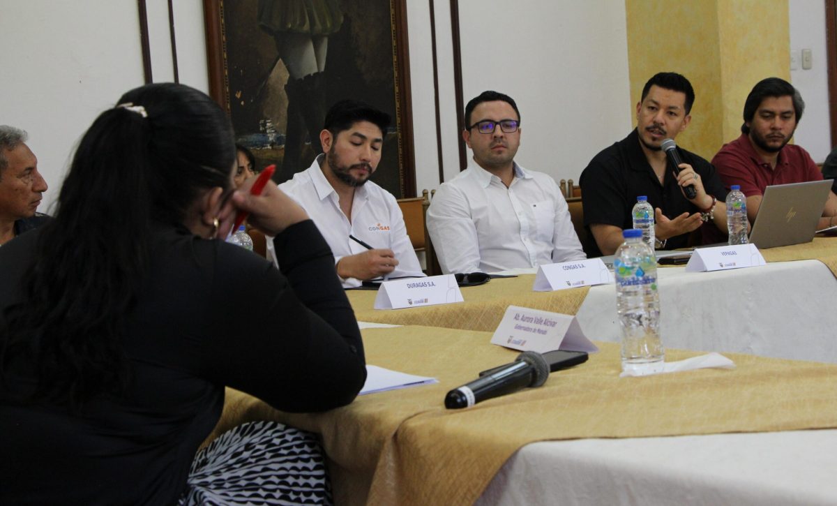 En la reunión se acordó solicitar al directorio de la ARCH, una reforma a la normativa de distribución.