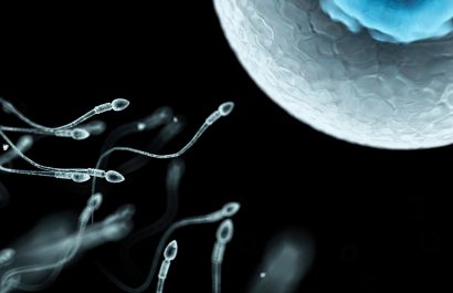 Donación masiva de esperma tiene un impacto en la diversidad genética; Países Bajos enfrenta este problema