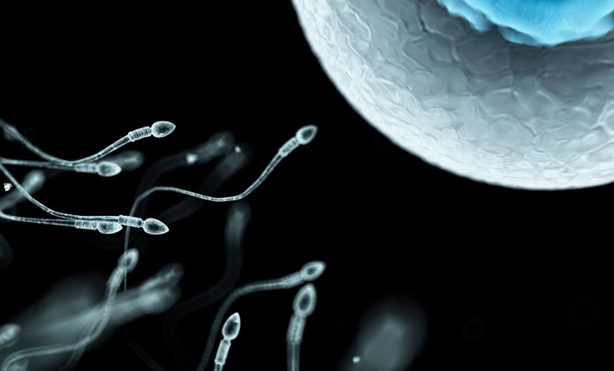Donación masiva de esperma tiene un impacto en la diversidad genética; Países Bajos enfrenta este problema