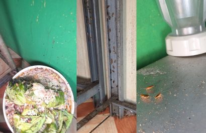 Durán: Arcsa detecta cucarachas en restaurante y ordena clausura temporal
