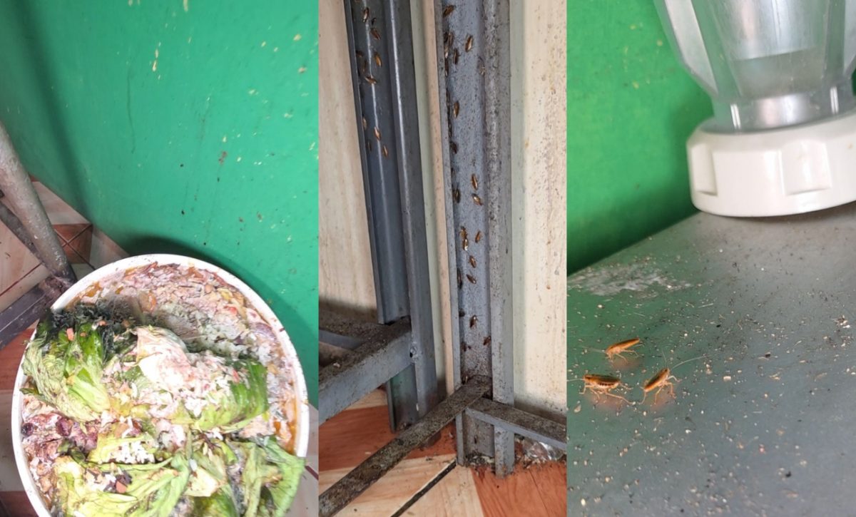 Durán: Arcsa detecta cucarachas en restaurante y ordena clausura temporal