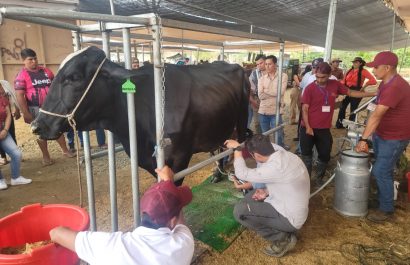 Durante los tres días habrá exhibiciones, concursos, gastronomía típica, emprendimientos y espectáculos artísticos.