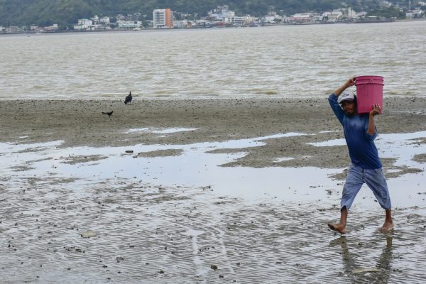Los pescadores caminan sin ninguna dificultad en varios tramos del estuario donde se han formado islotes.