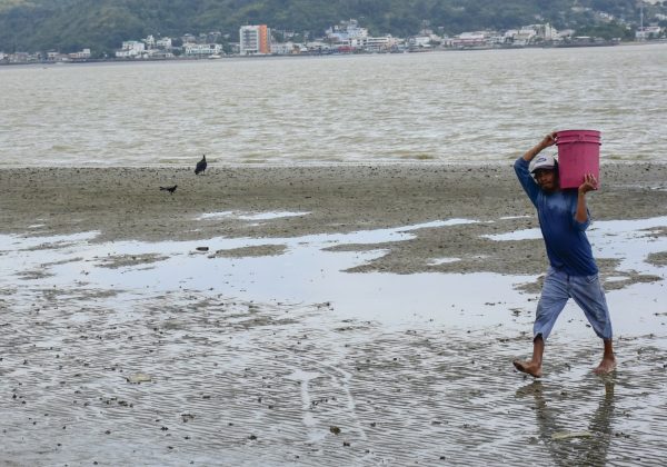 Los pescadores caminan sin ninguna dificultad en varios tramos del estuario donde se han formado islotes.