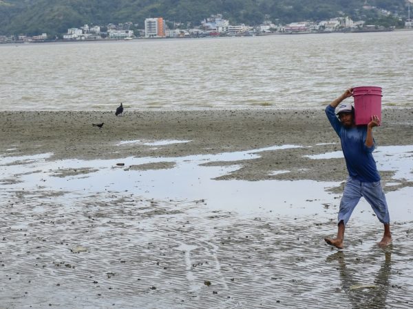 Los pescadores caminan sin ninguna dificultad en varios tramos del estuario donde se han formado islotes.