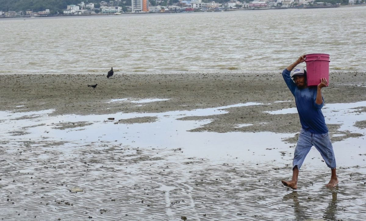 Los pescadores caminan sin ninguna dificultad en varios tramos del estuario donde se han formado islotes.