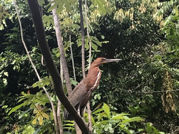 Ecuador Un llamado urgente en el Día Internacional de la Diversidad Biológica