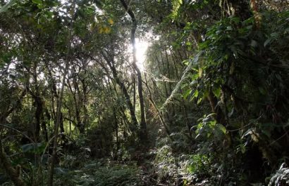 Ecuador declara al Refugio de Vida Silvestre Machay como su 79ª área protegida