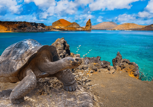 Ecuador obtiene $6 millones para proteger reservas marinas de Galápagos