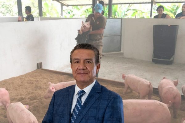Ecuador produce carne de cerdo con calidad internacional, pero los costos de producción impiden competir en la región. (Cortesía).