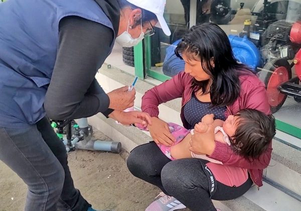 Ecuador registra 6 muertes por fiebre amarilla y 23 por tosferina en 2025