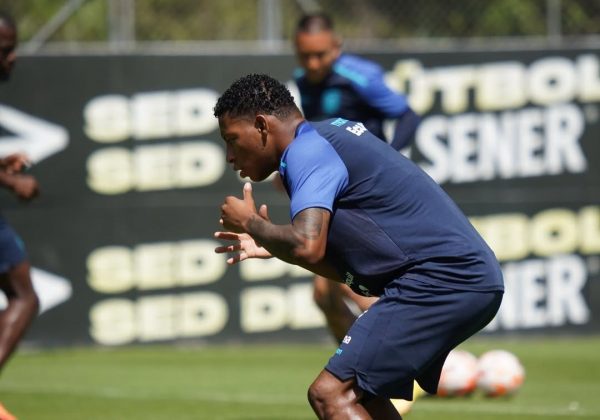Ecuador se entrena en Guayaquil con 14 jugadores para enfrentar a Brasil y Perú