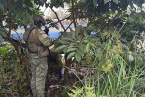 Ejército encuentra envoltorios con presunta droga junto aun colegio de Santo Domingo