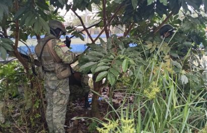 Ejército encuentra envoltorios con presunta droga junto aun colegio de Santo Domingo