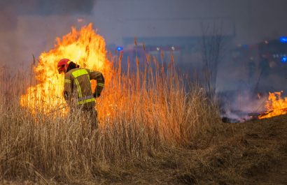 El 99% de los incendios forestales son provocados por el ser humano, ya sea por quemas agrícolas, fogatas mal apagadas o simples descuidos.