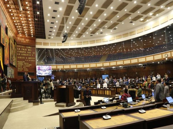 Asamblea Nacional: ¿Quiénes son los nuevos asambleístas? Conozca los perfiles clave de quienes conforman el nuevo Legislativo.