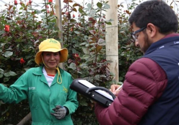 El IESS ha recuperado cerca e 15 millones de dólares en lo que va del 2025 durante inspecciones a empleadores. (IESS).