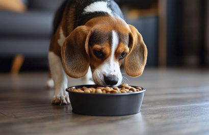 El IVA para mascotas se eliminará desde el 1 de febrero de 2025