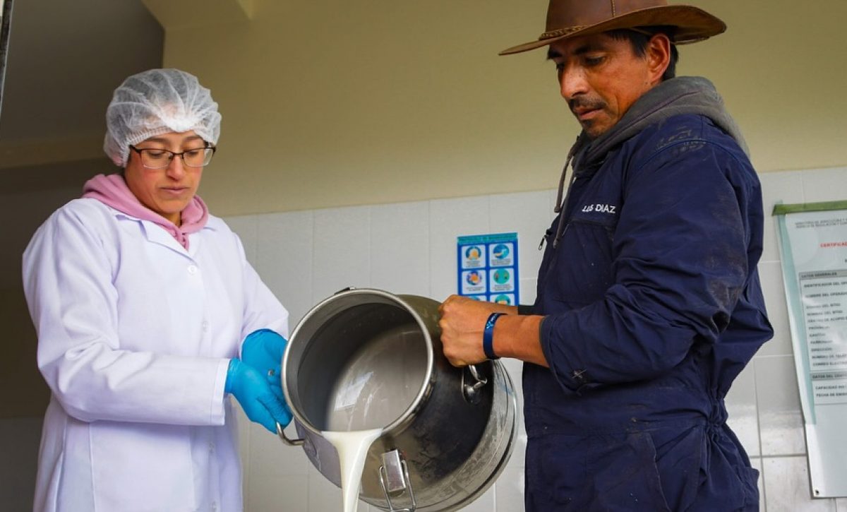 El Ministerio de Agricultura y Ganadería fija en $0,5043 el litro de leche cruda a partir del 1 de junio