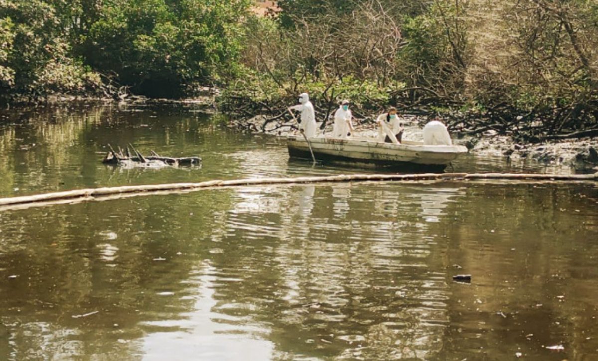 El Ministerio de Ambiente activa un plan de acción e interpone denuncia ante el derrame de aceite en Guayaquil. (MAATE).