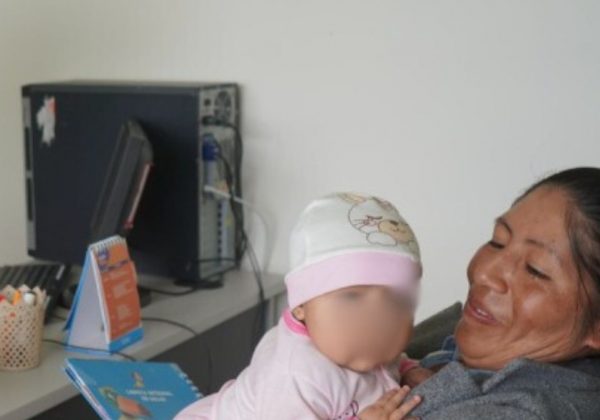 El Ministerio de Salud promueve el uso de la aplicación Infancia Ec, dirigida a padres y madres de menores de hasta 2 años. (Ministerio de Salud).