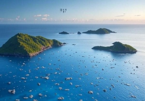 El Punto Nemo, ubicado en el océano Pacífico Sur a las coordenadas 48°52.6′S 123°23.6′W, es reconocido como el lugar más alejado de cualquier tierra firme.