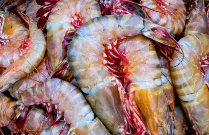 El camarón se consolidó como el producto de mayor exportación de Ecuador, por encima del petróleo. (Pexels)