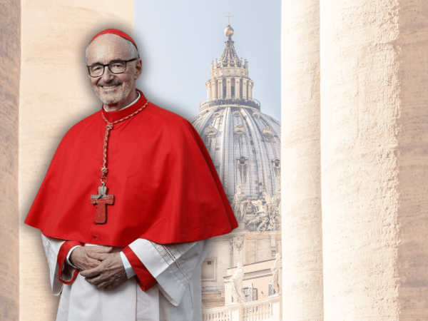 El cardenal Czerny y su papel clave en el desarrollo humano integral.