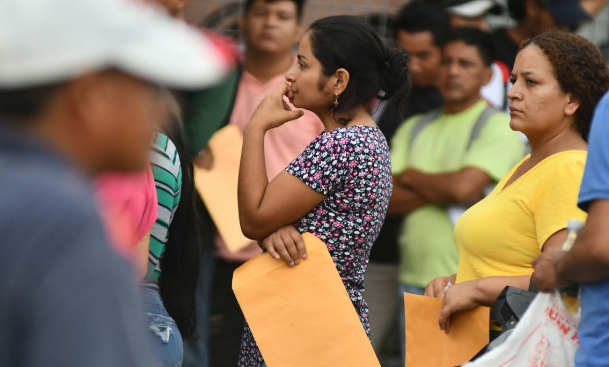 El desempleo en Ecuador en 2025: El INEC comparte cifras y análisis por sexo, ciudad y ruralidad . (API).