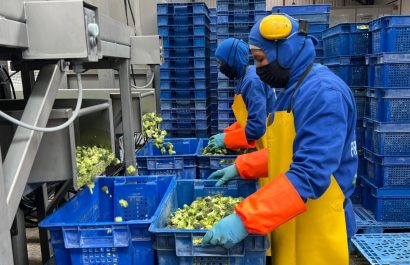 El empleo en Ecuador muestra leves signos de mejora en agosto, pero persisten algunos retos para los trabajadores. (Ministerio de Producción)