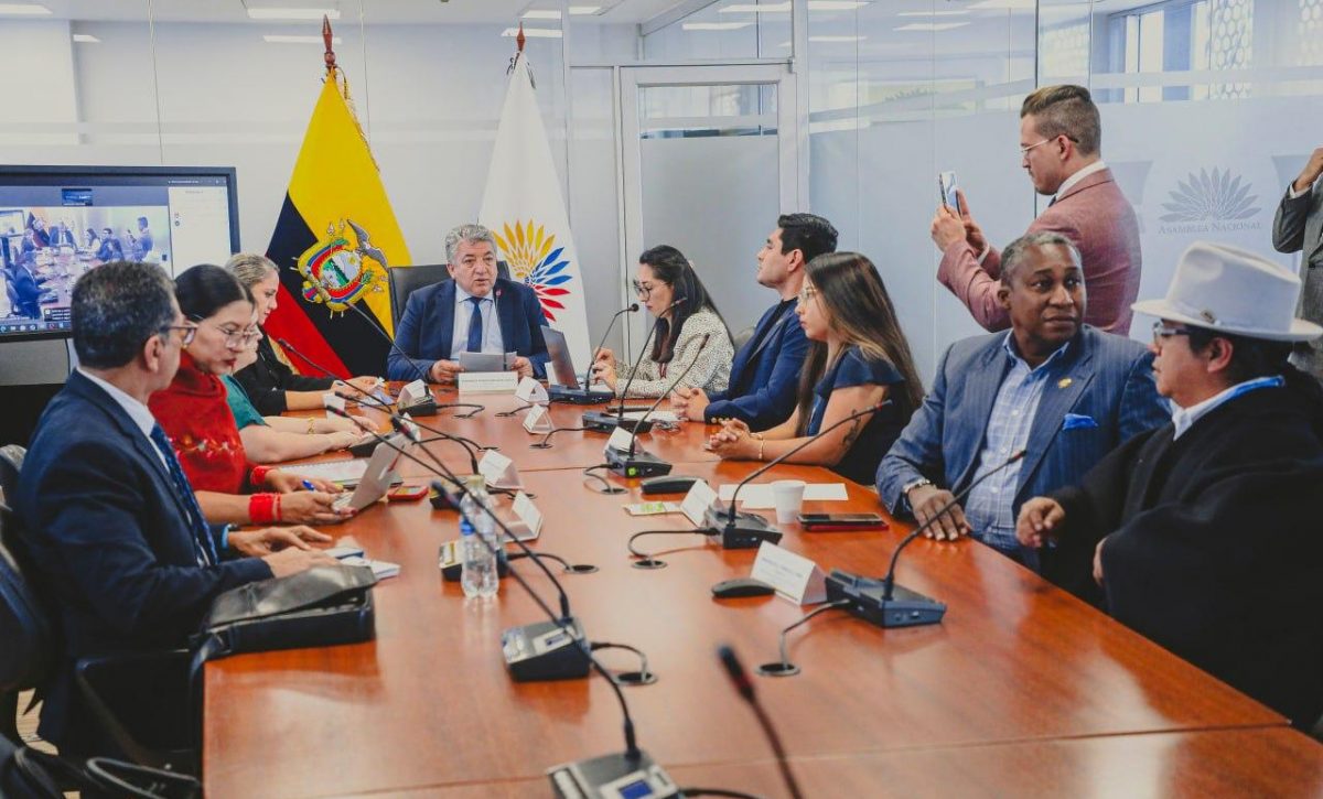 El futuro del trabajo doméstico en Ecuador: ¿Qué decidió la Comisión de Derecho al Trabajo ?