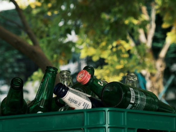 El gremio cervecero solicita cambios a la Ley Seca, asegura que el sector presenta millonarias pérdidas por la reducción de sus actividades por la medida. Pexels.