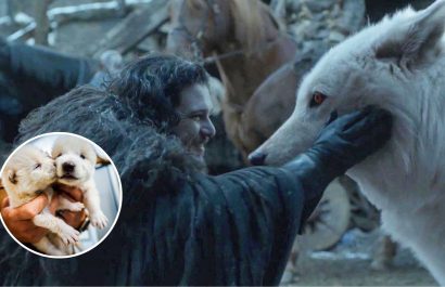 El lobo terrible ¿Cómo era el huargo de 'Juego de Tronos' en la vida real