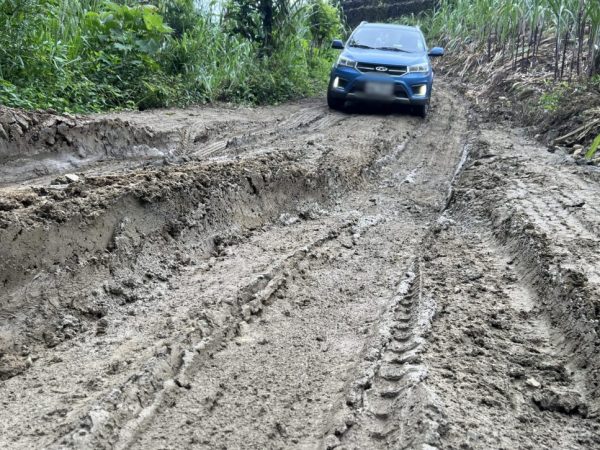 El mal estado de los caminos vecinales no permiten sacar la producción agrícola de la zona.