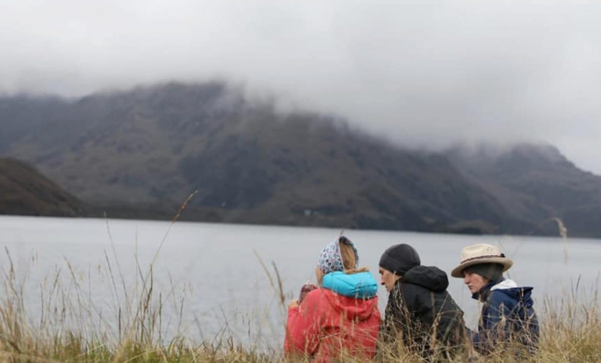 El misterio de los cuvivíes, las aves que viajan desde Canadá para terminar con sus vidas en las lagunas de Ozogoche, en Chimborazo. (Prefectura de Chimborazo).