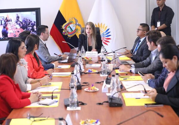 El plan busca evaluar y organizar 135 iniciativas de ley en trámite