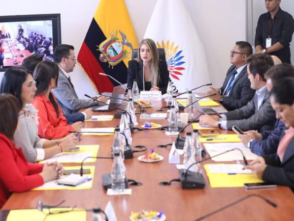 El plan busca evaluar y organizar 135 iniciativas de ley en trámite