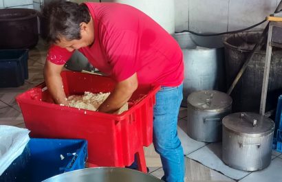 El queso chonero es más que un alimento, es historia, identidad y una expresión viva de la cultura cantonal.