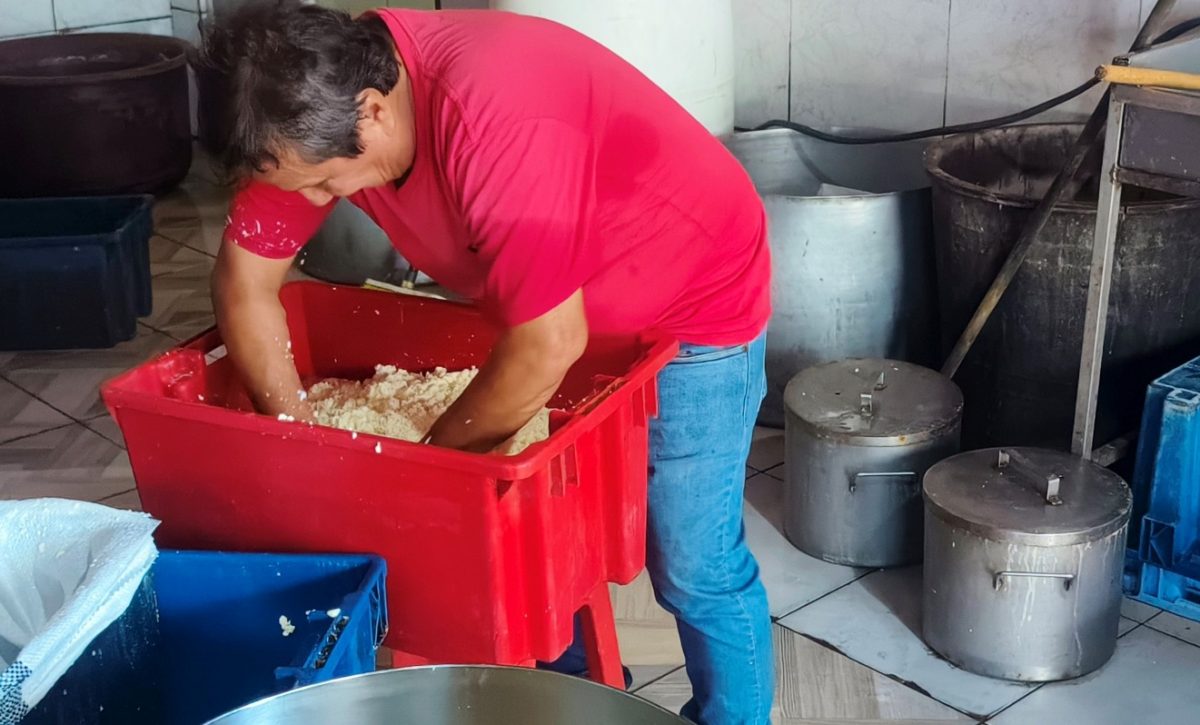 El queso chonero es más que un alimento, es historia, identidad y una expresión viva de la cultura cantonal.