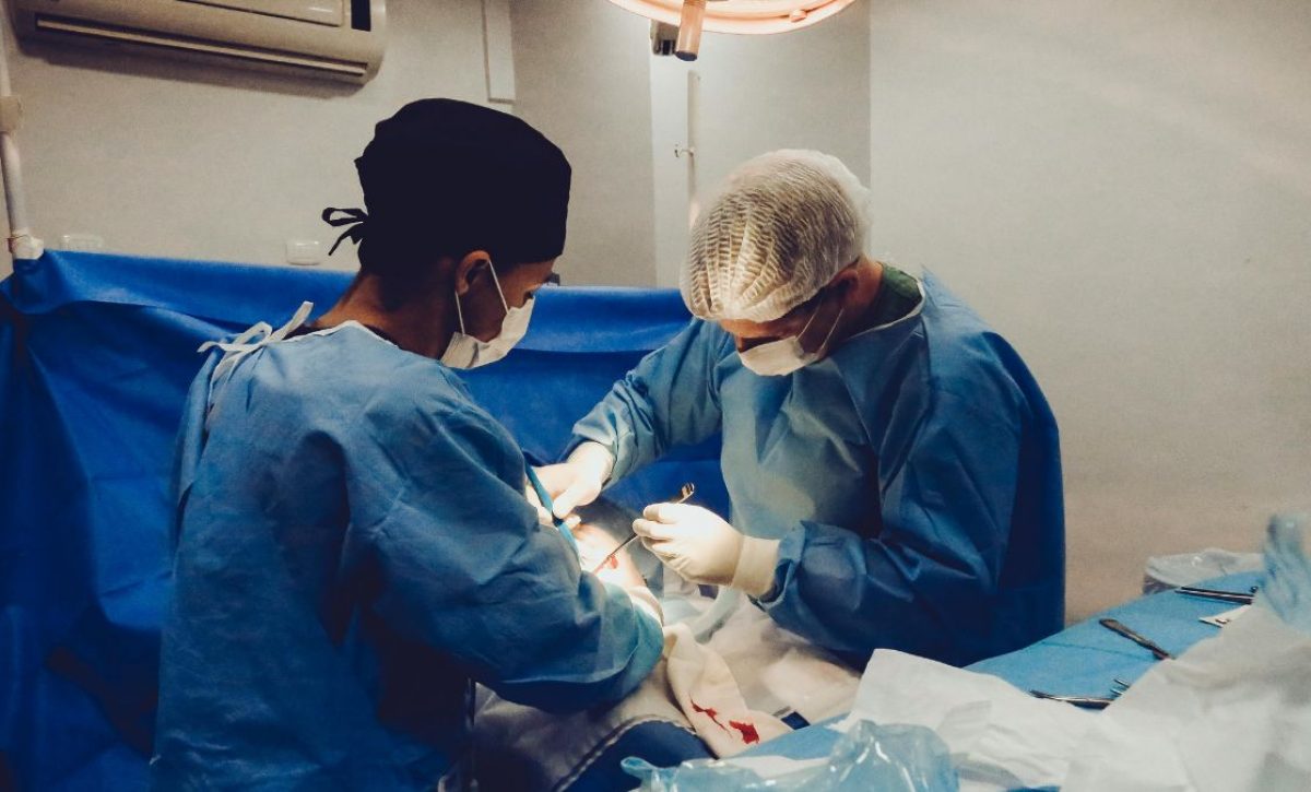 El riñón es el segundo órgano más trasplantado en unidades hospitalarias de Ecuador, lo supera la córnea. (Pexels).