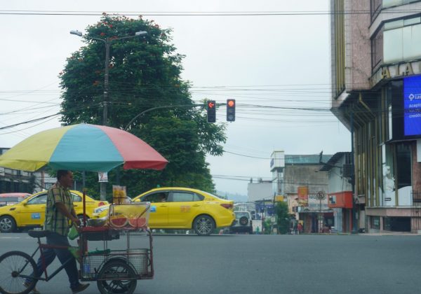 El robo de cables en semáforos ha dejado sin funcionamiento a cruces críticos en Santo Domingo, generando caos y accidentes.