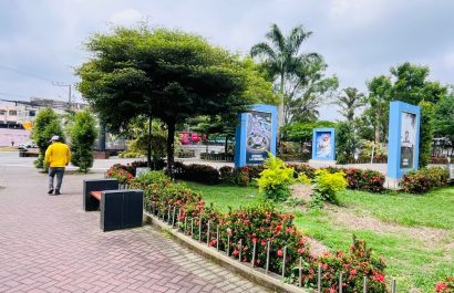 El sector del Parque Central de La Concordia está plagado de ratas; se ha optado por ubicar trampas