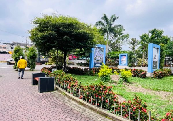 El sector del Parque Central de La Concordia está plagado de ratas; se ha optado por ubicar trampas