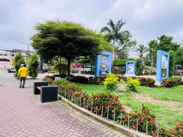 El sector del Parque Central de La Concordia está plagado de ratas; se ha optado por ubicar trampas