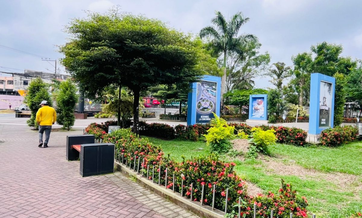 El sector del Parque Central de La Concordia está plagado de ratas; se ha optado por ubicar trampas