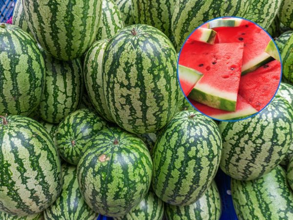 El truco más fiable para que sepas elegir una buena sandía está en este detalle