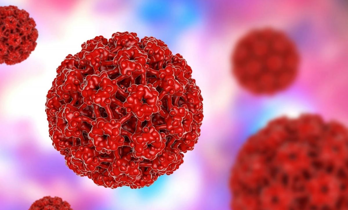 El virus del papiloma humano aumenta el riesgo de enfermedades cardíacas