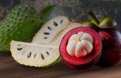 Empresa ecuatoriana exporta por primera vez guanábana y mangostino a Canadá tras su participación en una misión comercial. (X). (1)